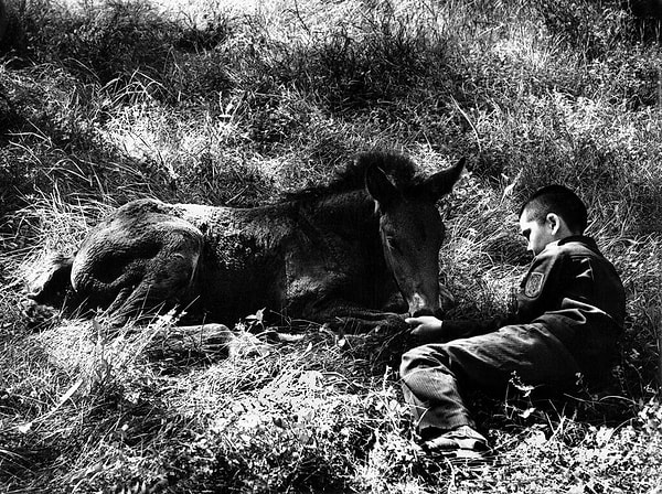 4. Привал с лошадью, Казань, 1985 год.