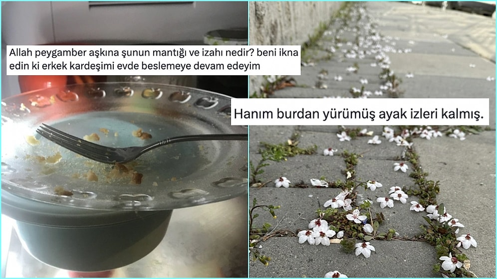 Erkek Kardeşini Evcilleştiremeyen Dertli Abladan Hanımcılıkta Çığır Açanlara Son 24 Saatin Viral Tweetleri
