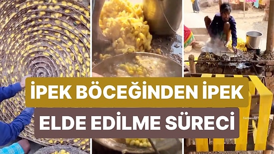 İpek Böceğinden İpek Elde Edilme Sürecini Adım Adım Görmek İster misiniz?