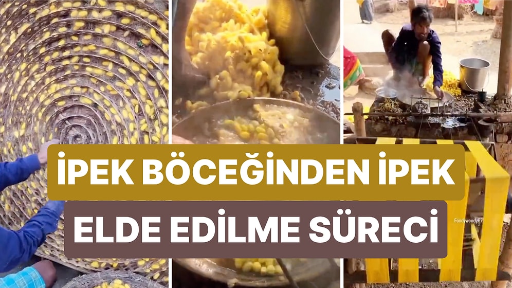 İpek Böceğinden İpek Elde Edilme Sürecini Adım Adım Görmek İster misiniz?