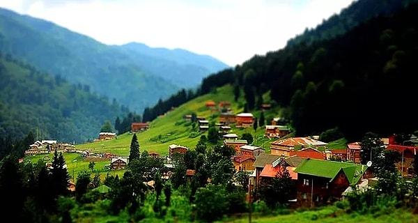 How to Get to Ayder Plateau?