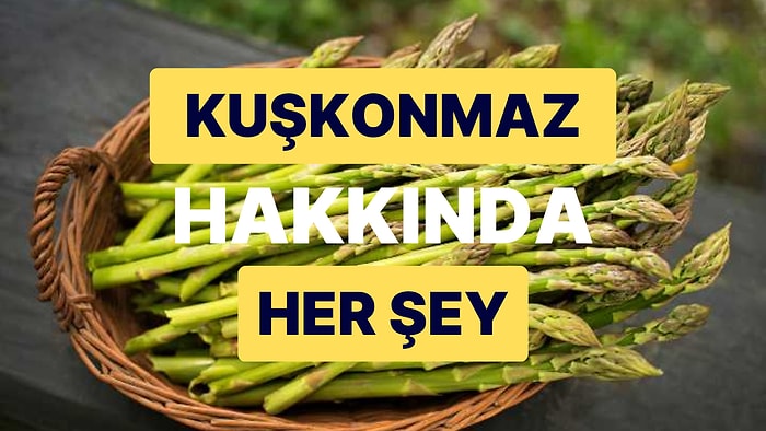 Kuşkonmaz Hakkında Her Şey: Düşük Kalorisi ve Sağlık Faydaları ile Kuşkonmaz