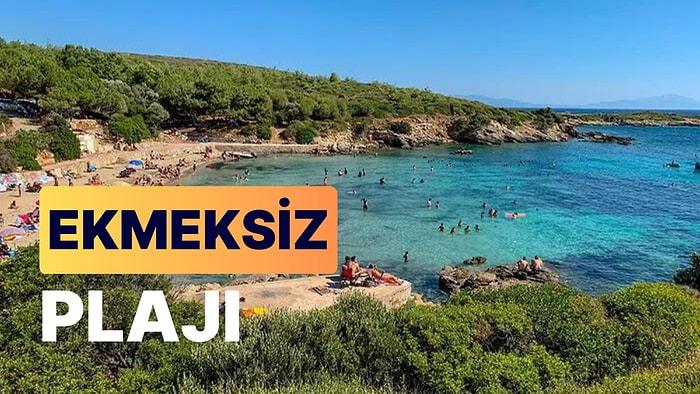 Ekmeksiz Plajı ve Tabiat Parkı: Seferihisar'ın Ziyaretçi Akınına Uğrayan Plajını Keşfedin!