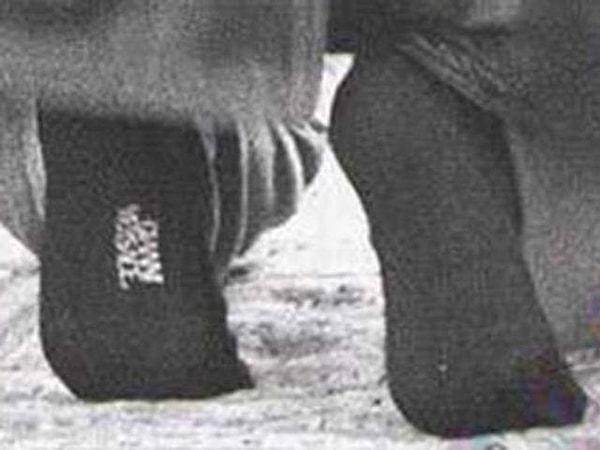 Lüks markalara olan ilgisi dikkat çektikten sonra gazetecilerin detaylarla ilgilenmesinden de kaçamadı haliyle. Camide namaz kılarken görüntülenen Fatih Erbakan'ın Versace çorapları yine gündemde adının konuşulmasına sebep oldu.