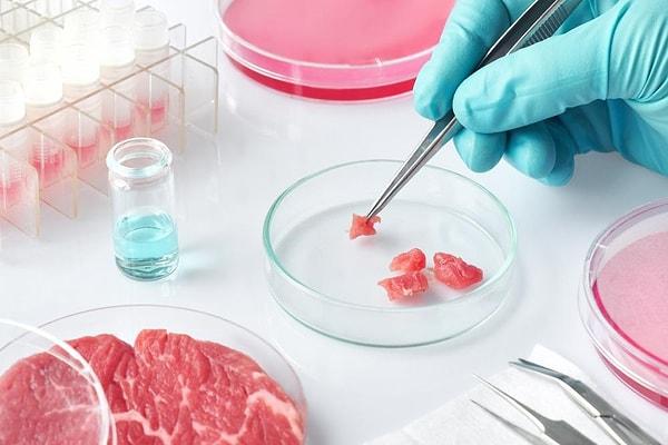 İtalya'nın sağcı hükümeti, laboratuvarda üretilen et ve diğer sentetik gıdaları yasaklayan bir yasaya imza attı. Yasa tasarısı İtalyan gıda mirasınının ve sağlığının korumasını vurguluyor.