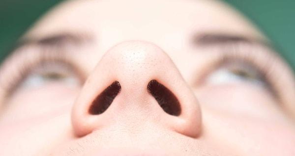 10. Soluduğumuz havanın büyük bir kısmı iki burun deliği arasında paylaştırılıyor, bu yüzden burnumuzun bir tarafı diğerine kıyasla tıkalı olabiliyor.