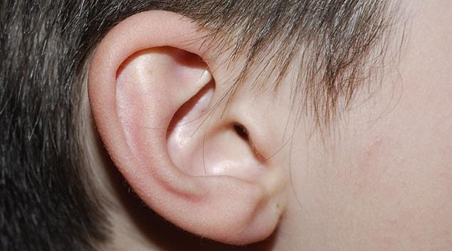 13. Kulak kiri aslında faydalı bir şey!