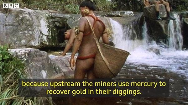Madencilerin işgaline uğrayan bölgede, halkın hayatı da riske girmeye başladı. Artık avlayacak balık kalmamıştı çünkü madenciler altın arayışlarında civa kullanıyorlardı.