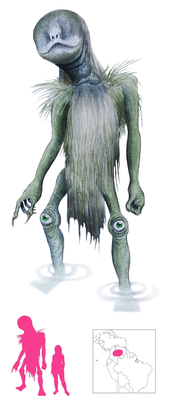 16. Munuane: Bu yaratık Guahibo folkloründen vahşi bir devdir. Gözleri yüzü yerine dizlerindedir ve onlar zayıf noktasıdır.