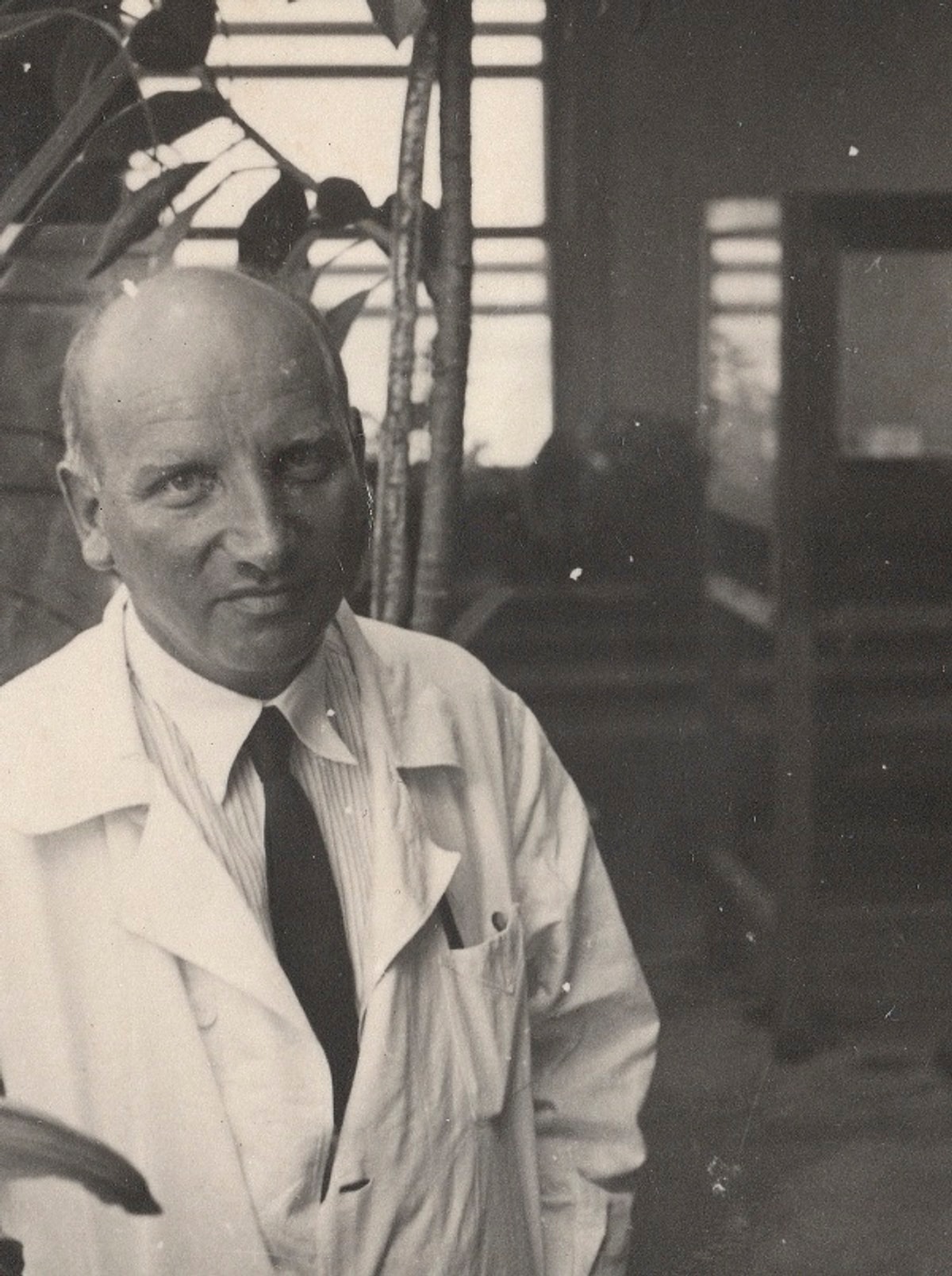 Yüz Akı Türkler Asuman Baytop Onedio