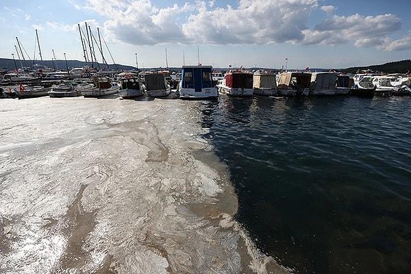 Prof. Dr. Mustafa Sarı, kuraklık nedeniyle Marmara Denizi'nde müsilaj riskinin geri döndüğünü söyledi.