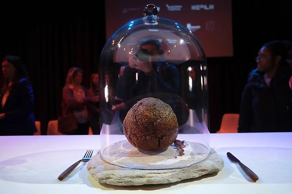 Amsterdam'ın NEMO Bilim Müzesi'nde tanıtılan köfte birçok kişinin büyük ilgisini çekti. Ancak bu köftenin tüketilebileceği hakkında henüz kesin bir bilgi yok.