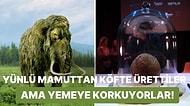 Ye Yiyebilirsen: Bilim İnsanları Soyu Tükenen Yünlü Mamutlardan Köfte Yaptılar!