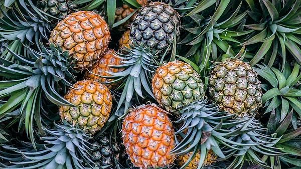 10. 18. yüzyıl İngiltere'sinde ananas satın almak yüksek ithalat ücretleri sebebiyle zenginlik belirtisiydi. O yüzden yenmek yerine sergileniyordu!