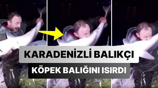 Köpek Adamı Isırırsa Haber Olmaz, Adam Köpeği Isırırsa Bu Haberdir: Karadenizli Balıkçı Köpek Balığını Isırdı!