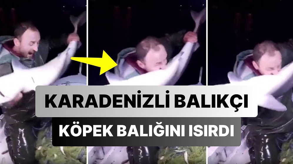 Köpek Adamı Isırırsa Haber Olmaz, Adam Köpeği Isırırsa Bu Haberdir: Karadenizli Balıkçı Köpek Balığını Isırdı!