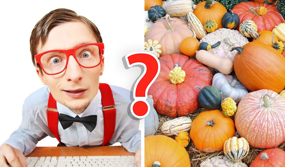 Тест на знания: Вы наверняка закончили школу со справкой, если не сможете набрать 15/20