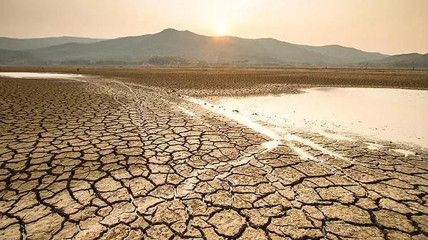 Özellikle ülkemiz Türkiye gibi tarım sektörünün önemli bir yer tuttuğu yerlerde, kuraklık ciddi sorunlar yaratıyor.
