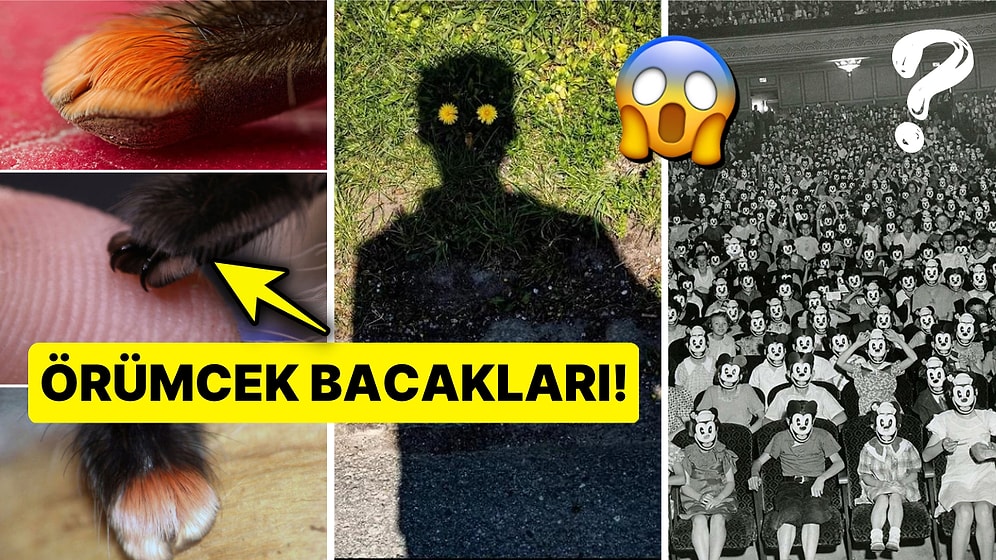 İnternetin Karanlık Köşelerinden Sonsuza Dek Hafızanıza Yerleşip Uykularınızı Kaçıracak 15 Tuhaf Görsel