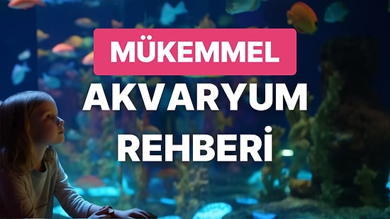 Akvaryum Hobisiyle Uğraşmak İsteyen Herkesin Bilmesi Gereken Her Şey