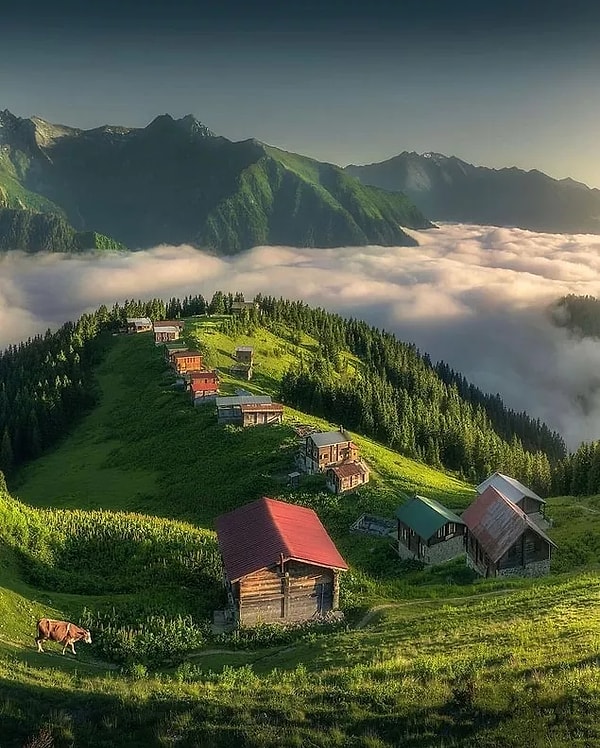 7. Pokut Plateau- Rize