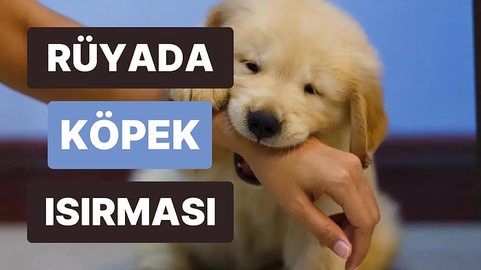 Rüyada Köpek Isırması: İnsanlara Çok Çabuk mu Güveniyorsunuz?