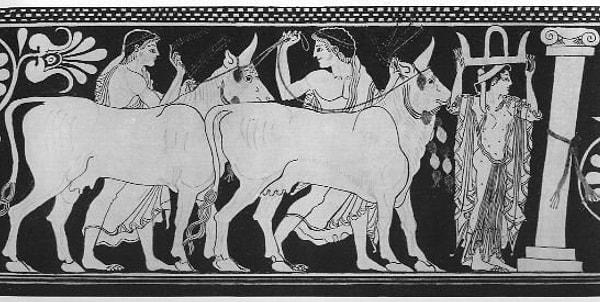 10. Geryoneus’un sığırlarını getirmek.