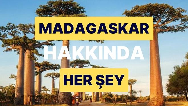 Madagaskar Cumhuriyeti: Başkenti, Nüfusu ve Tüm Detaylarıyla Madagaskar Rehberi