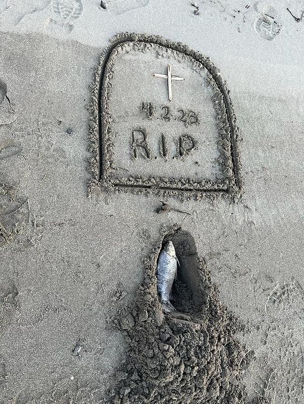 17. "Eşim ve yeğenim sahilde gezerken ölü bir balığa denk gelmişler. Yeğenim de ona cenaze düzenlemek istemiş..." 😅