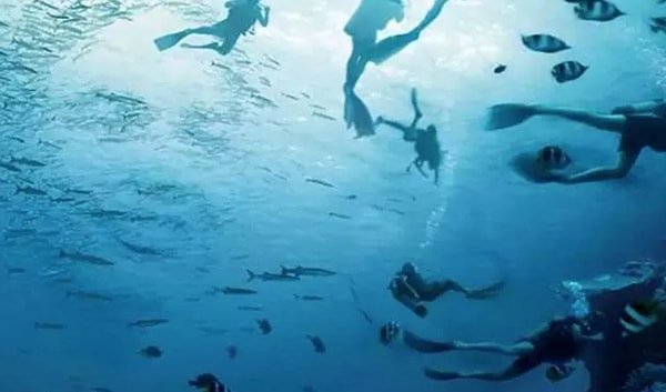 8. Что увидели первым?