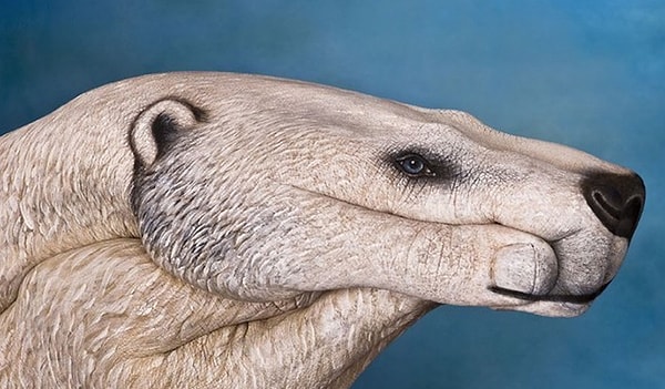 10. Что разглядели?