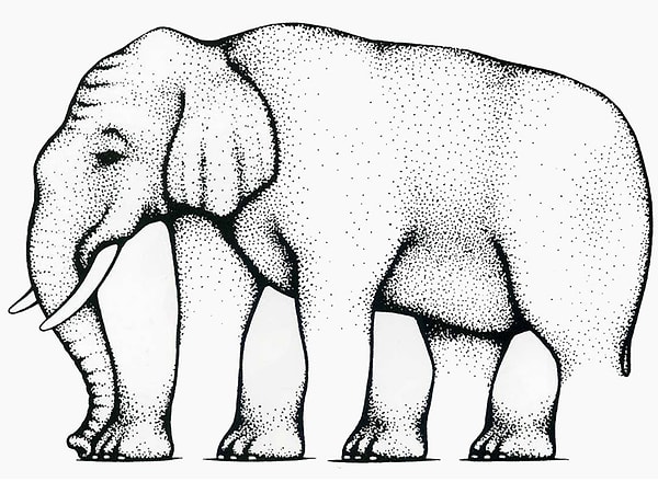 11. Сколько здесь ног?