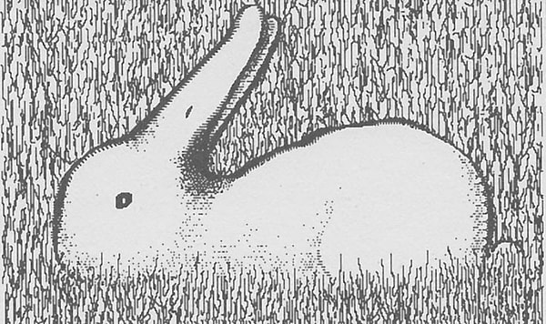 12. Что видите здесь?