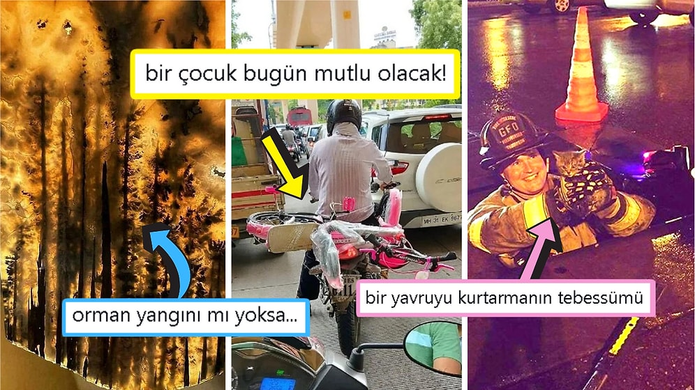 Gördüğünüz Anda İçinizin Yağlarını Eritip Sizi Pamuk Gibi Yapacak Birbirinden Etkileyici 17 Görsel