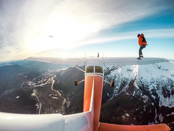 2. У него, наверное, девять жизней