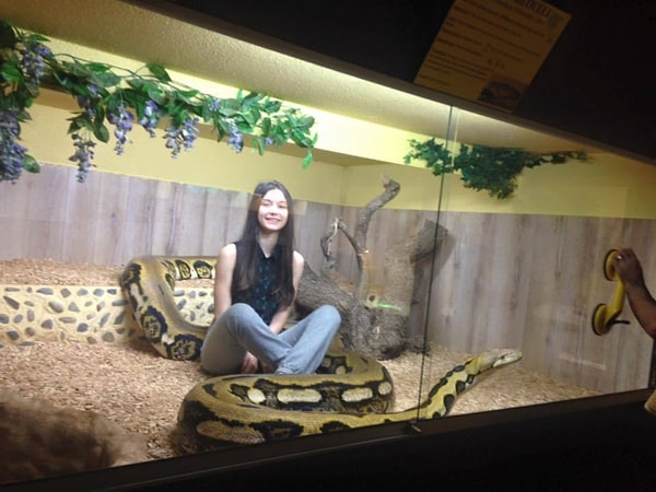 8. А вот и змеям обед принесли