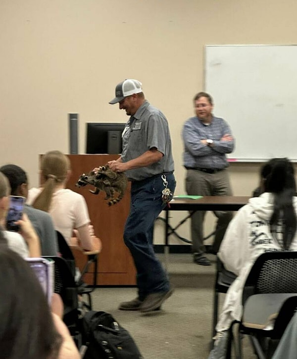 13. «К нам в класс забрались два енота и пришлось вызывать отлов. Лучшее начало дня»