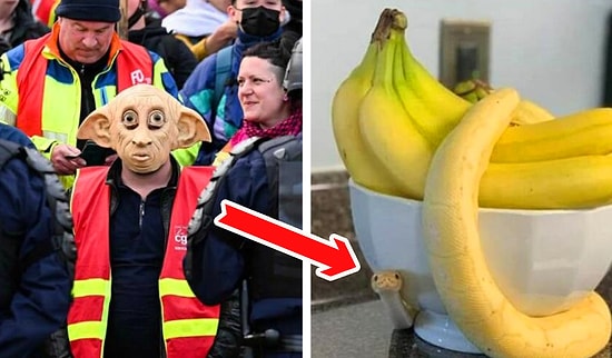 26 мегастранных фото, при видя которых у вас поднимется бровь и растянется улыбка