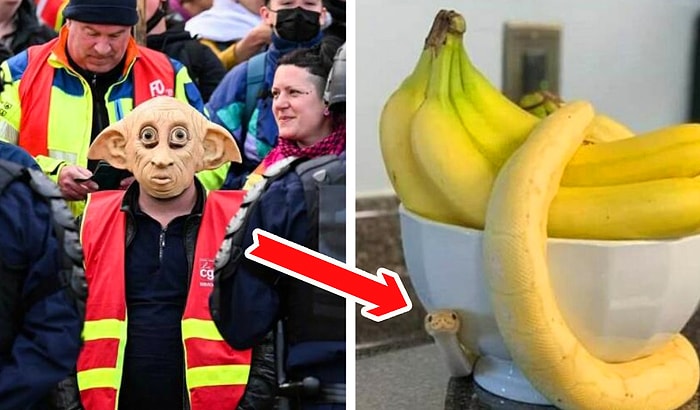 26 мегастранных фото, при видя которых у вас поднимется бровь и растянется улыбка