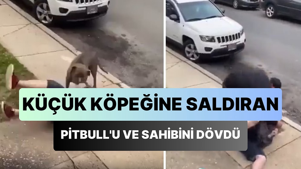 Küçük Köpeğine Saldıran Pitbull'u ve Sahibini Yumruklarıyla Etkisiz Hale Getiren Adam