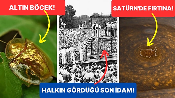 Tarihten Günümüze Hayatı Sorgulamanıza Sebep Olmaya Aday Birbirinden İlginç 17 Görsel