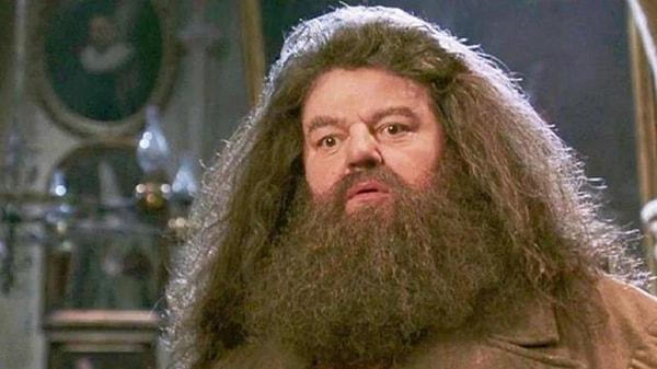 6. Hagrid - Harry Potter