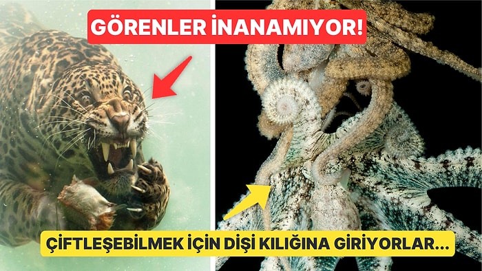 Doğanın Korkutucu Yüzünü İliklerinize Kadar Hissetmenize Sebep Olacak Birbirinden Ürkütücü 15 Yeni Fotoğraf