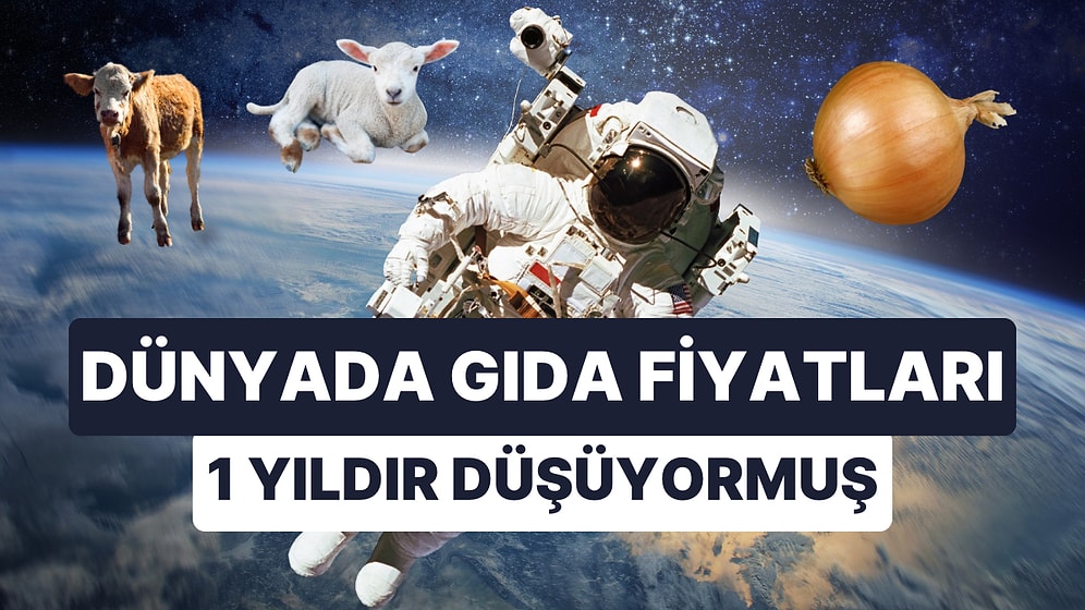 Soğan ve Et Fiyatlarını Tartışırken Haberimiz Olmadı: Dünyada Gıda Fiyatları 1 Yıldır Düşüyor!