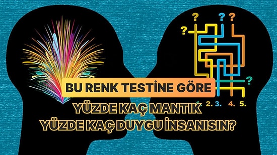 Bu Renk Testine Göre Yüzde Kaç Mantık Yüzde Kaç Duygu İnsanısın?