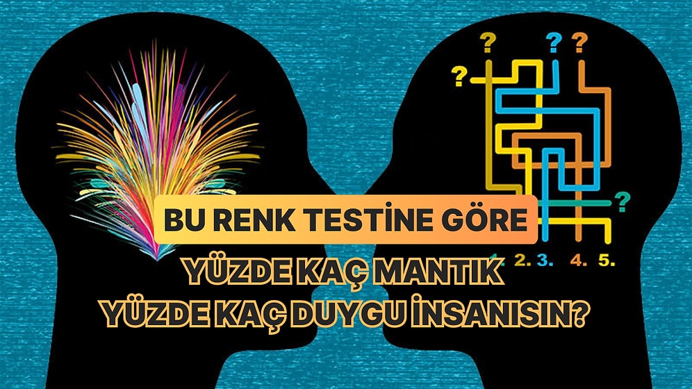 Bu Renk Testine Göre Yüzde Kaç Mantık Yüzde Kaç Duygu İnsanısın?