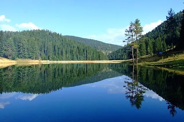 1. Yenice Forests - Karabuk