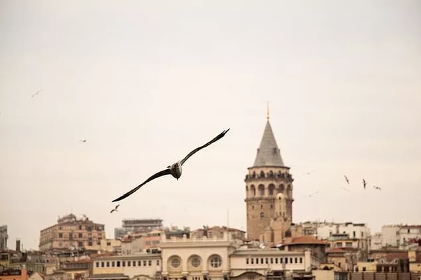 Where is the Galata Tower? How to Get There?