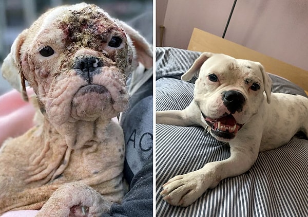 11. «Мы стараемся дать этой малышке только лучшее. Все еще работаем над ее проблемами, но ее неукротимый дух заставляет нас двигаться вперед. Она мой образец для подражания»