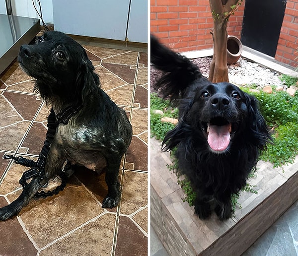 26. «Виктория была истощена, у нее была чесотка, и она всего боялась. Год спустя она здорова и обрела семью»